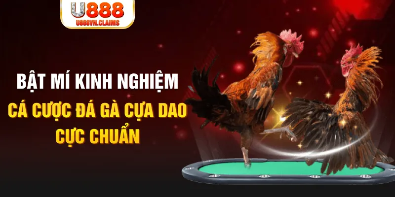 mcw1188 casino hồ tràm có cho người việt vào không