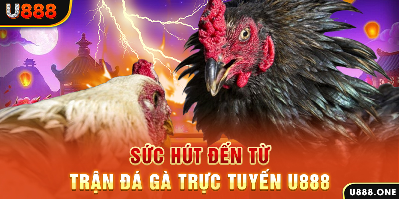 mcw1188 đăng nhập poker 2024