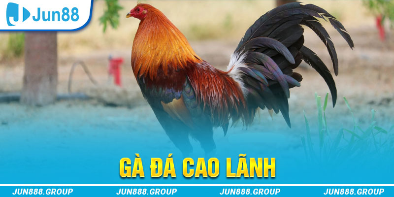mcw1188 tai game vua bai ve may tinh