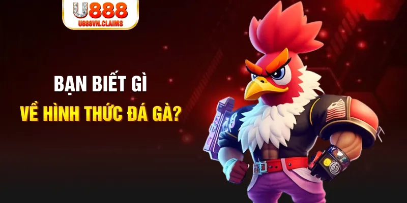đăng nhập liêng tặng tiền