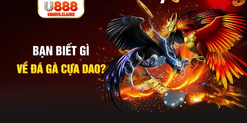 mcw1188 xo so mien bac