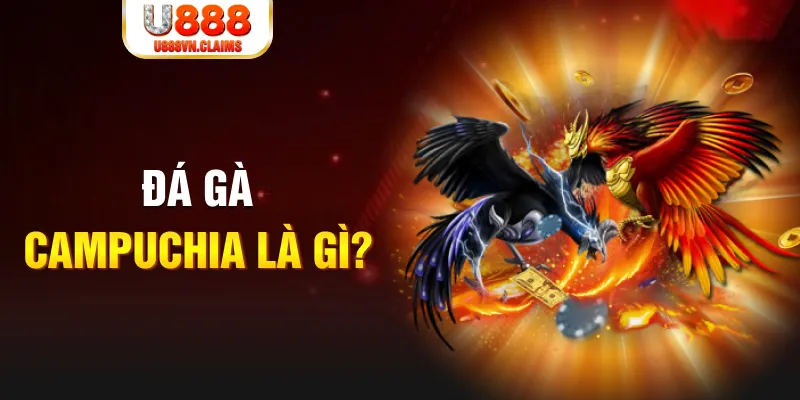 mcw1188 what is the best online casino for real money