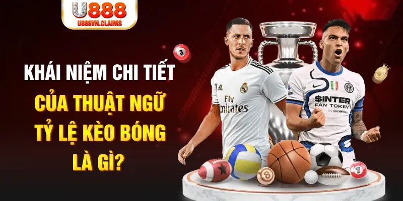 mcw1188 Long Hổ 2