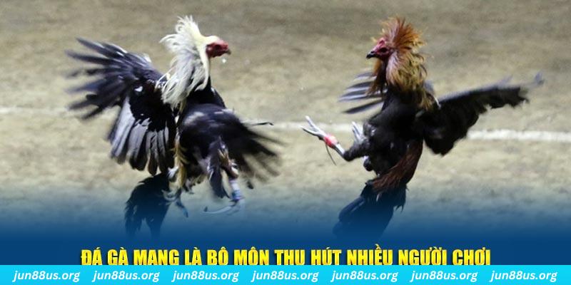 mcw1188 đăng nhập sòng bạc số 1