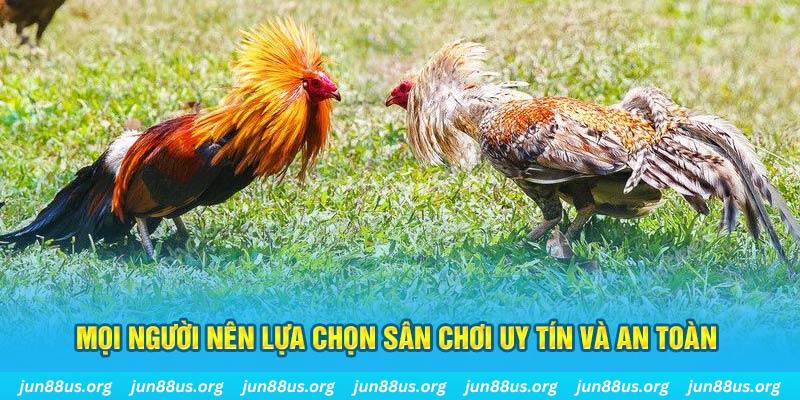 mcw1188 đăng nhập poker 2025