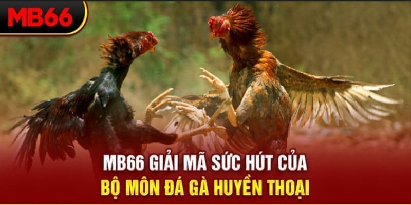 mcw1188 xổ số đài bắc