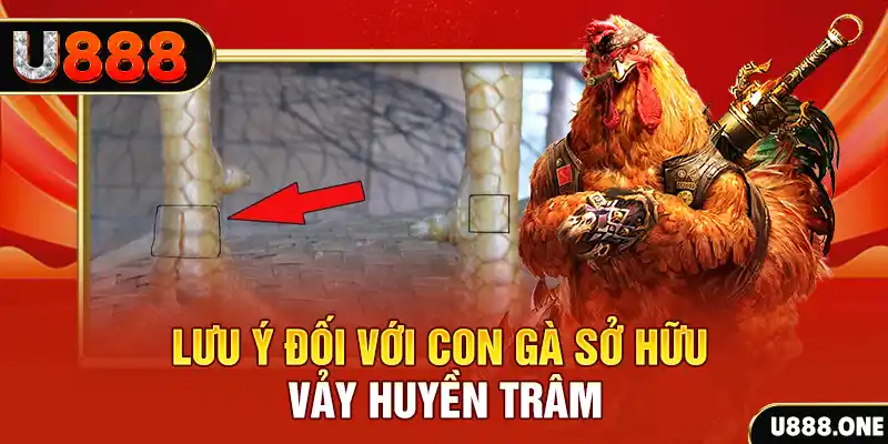 mcw1188 tải game đánh bài tiến lên miền nam về máy tính