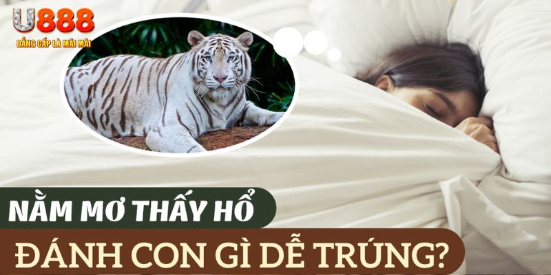 mcw1188 nohu .mx nổ hủ là gì