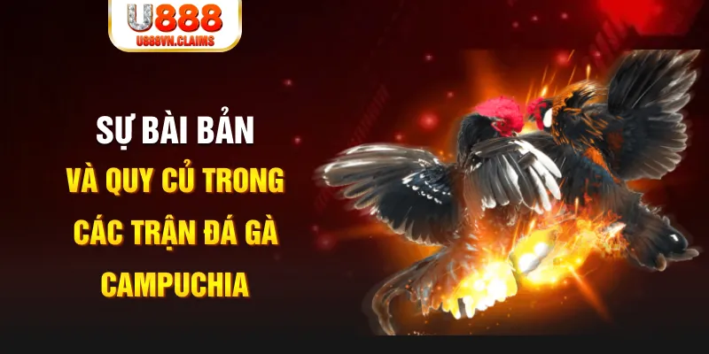 mcw1188 game xếp bài trên máy tính