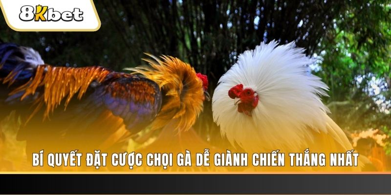 mcw1188 nổ hũ chơi như thế nào