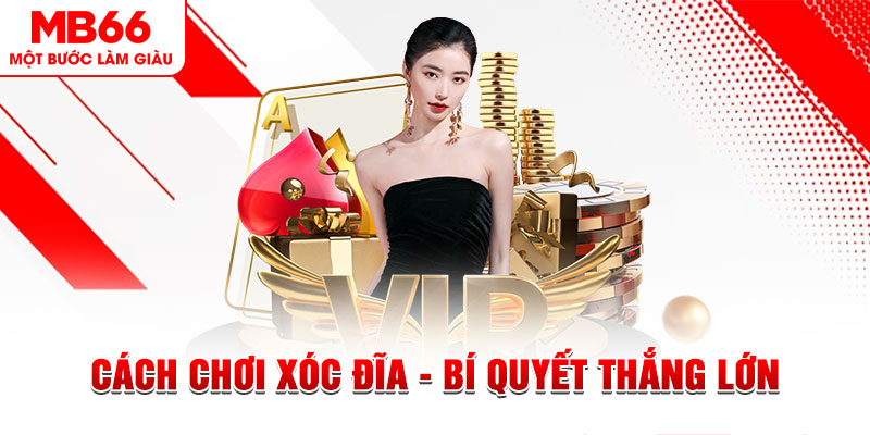 mcw1188 Đĩa màu ace