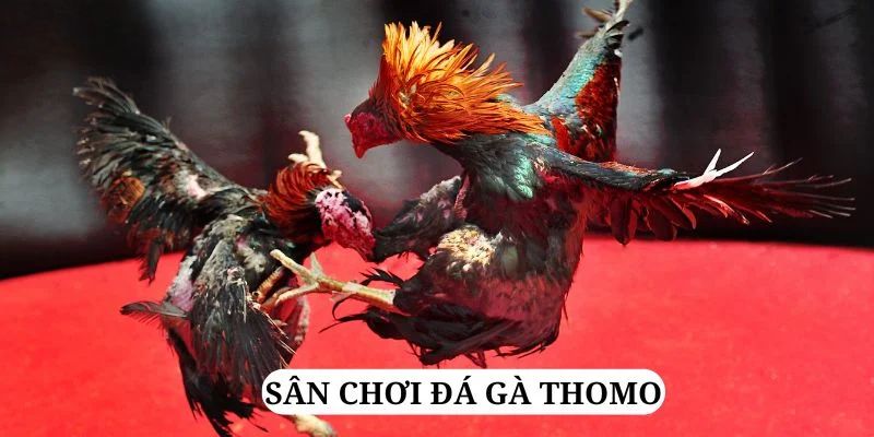 mcw1188 quay nổ hũ là gì