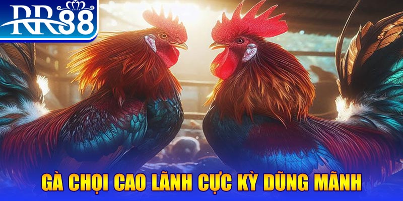 mcw1188 đăng nhập poker live